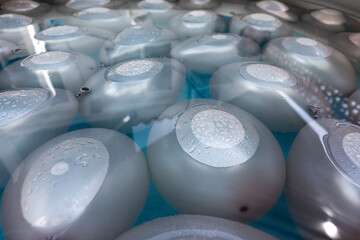 Naklejka na ściany i meble silver-colored water-filled balloons partially submerged and with droplets on their surface