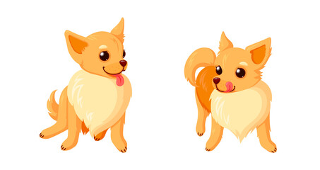 Playful chihuahua dogs with tongues. Sitting and standing chihuahua puppies with curly tails isolated in white background. Vector illustration in cute comic style