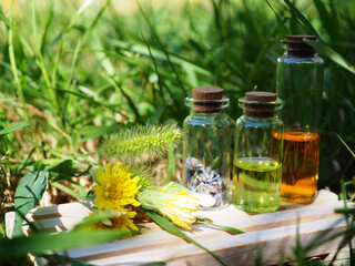 Several glass bottles with oil and essence on a natural background, a banner for alternative medicine, a copy of the space of a medicine from nature