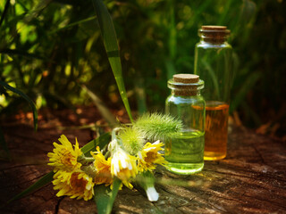 Several glass bottles with oil and essence on a natural background, a banner for alternative medicine, a copy of the space of a medicine from nature