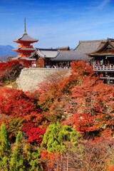 Naklejka premium Kyoto Japan - Kiyomizu-dera Temple