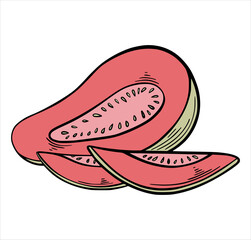 Guava in pink and green color, exotic tropic fruit hand drawn sketch style isolated on white background. Hand drawn tropical food illustration. Vector illustration.
