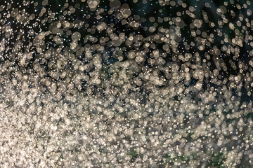 Water Droplets from Sprinkler backlit by Sun