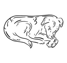 Abandoned sad stray dog lying on the street, sketch hand drawn illustration