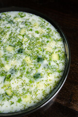 Traditional Okroshka