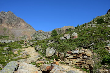 Sommerliche Bergidylle, Aufstieg Höchsterhütte, Ultental, Weißbrunn, Südtirol, Italien, Sommer und Urlaubszeit, Hochgebirge mit Felsen und karger Vegetation