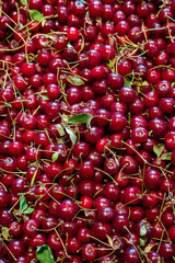 Full frame close-up of fresh red currants