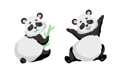 Naklejka premium Funny Panda Bear with Black-and-white Coat and Rotund Body Sitting with Bamboo Vector Set
