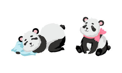 Funny Baby Panda Bear with Black-and-white Coat and Rotund Body with Bow and Sleeping on Pillow Vector Set