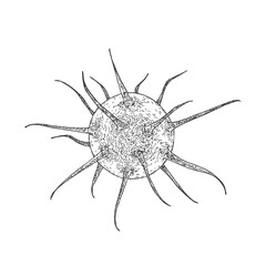 Hand Drawn Virus Vector Illustration. Bacteria Doodle Sketch. Isolated