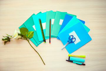 The different stationery on light background, flat lay with space for text. Back to school