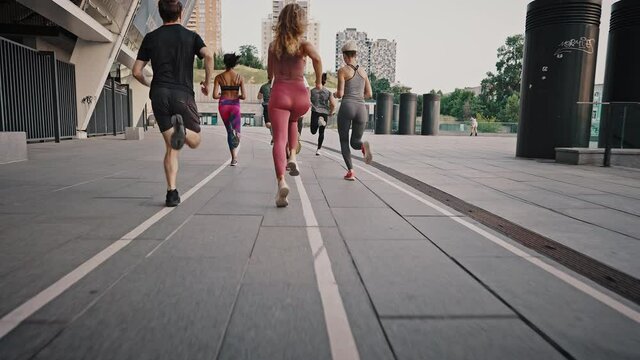 Back view of big team of athletes has a group training session on the urban streets of a big city. A group of people jogging together at sunrise