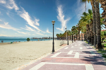 View of palm trees on las Palmeras beach, Los Alcazares, Murcia, Spain