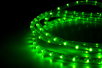 Green led lighting snake for garden
