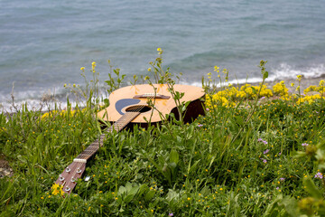 acoustic guitar lying in the green grass on the background of the sea. music sound concept on the...