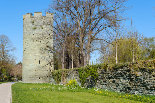 Katte Bilder – Durchsuchen 136 Archivfotos, Vektorgrafiken und Videos ...