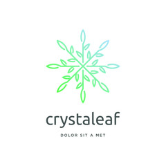 nature leaf ice crystal vector for restaurant, cafe or organic coffee shop