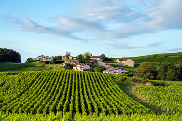 Fototapeta na wymiar Le hameau Les Molards dans le vignoble des vins de Bourgogne en france en été