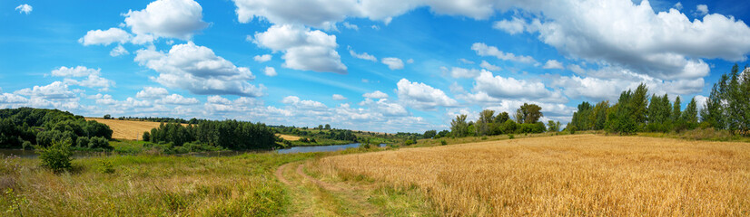 Fototapeta na wymiar Summer landscape with river and blue sky