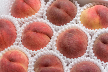 Peach fruits for gifts, Prunus persica