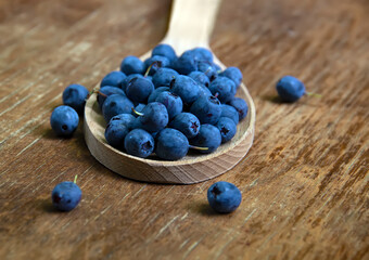 Fresh blueberries in a wooden spoon close-up.