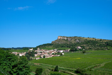 Fototapeta na wymiar Paysage de vignoble en Bourgogne autour du village de Pouilly-Solutré en France dans le département de Saône-et-Loire sous la Roche de Solutré