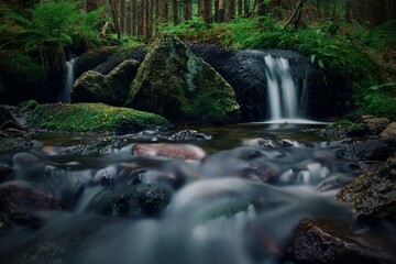 A view to the cascades of wild stream in deep forest at Sumava, Czech republic