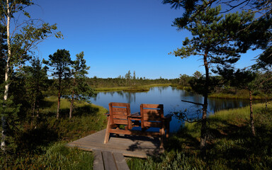 Swamp and lake with a bench
