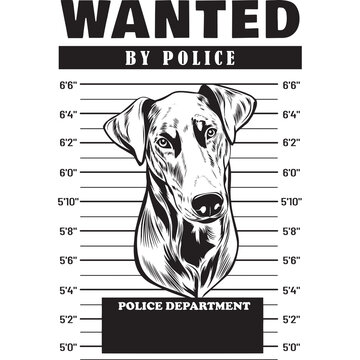 Mugshot of Doberman Dog holding banner behind bars
