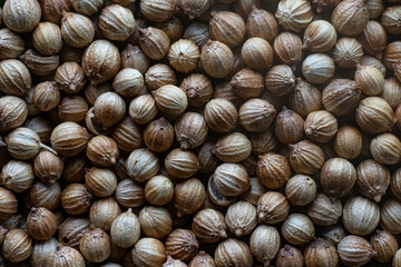 coriander seeds top view macro