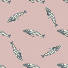 Seamless pattern with gray whale on pink background. Template of cartoon character of ocean for fabric.