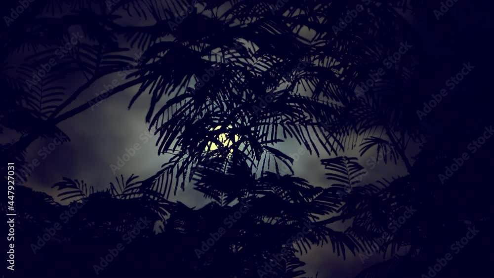 Wall mural the full moon peeps through the branches of palm trees and exotic trees on the seashore. background 