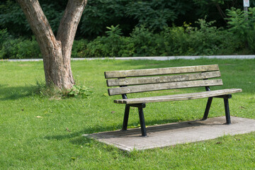 bench in the park