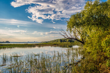 The river with the banks overgrown with forest. Hiking and water tourism. Beautiful nature.