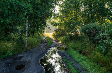Fototapeta premium Large puddles after rain. Trees are reflected in the water. Hiking.