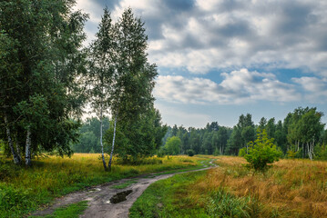 Blooming meadows. Beautiful herbs. Nice walk in nature. Hiking.