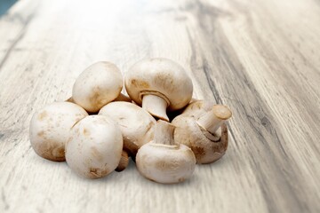 Mushroom.