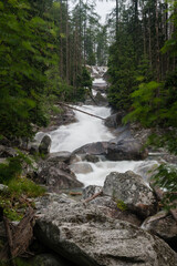 Fototapeta na wymiar Cold water waterfalls in High Tatra mountains, Slovakia