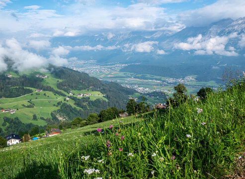 Sommerliche Wiese in den Tiroler Alpen