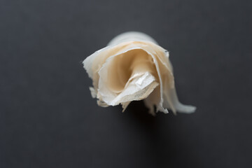 various deconstructed tea bags unfolded or flattened on a dark gray paper background