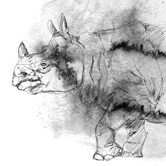 hand drawing art of grey rhinoceros