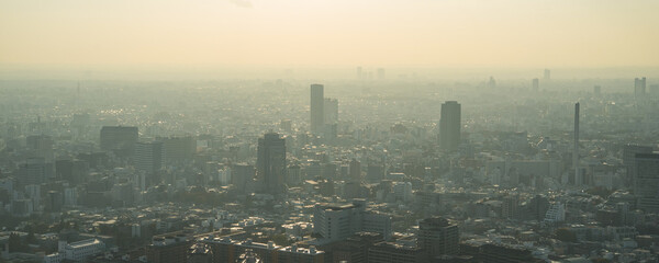 Hazy Tokyo skyline with smog and air pollution 　霞のかかった東京都心の高層ビル群 大気汚染・環境問題