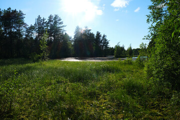swampy area nature park in the north