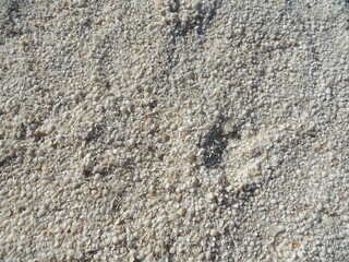 Shell Beach, a beach made entirely of shells. Tiny little white shells from the cockle species. Random natural pattern. Natural sunlight. Shark Bay region, Western Australia. World Heritage Site
