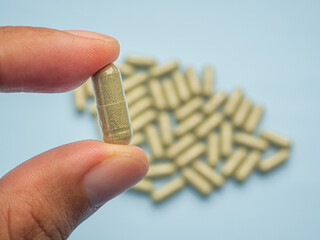 Hand holding of one Andrographis paniculata capsule with a pile of capsules isolated on blue...