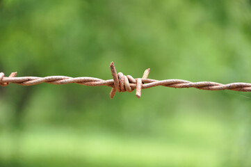 old rusty barbed wire fence, background blurred nature. selective focus