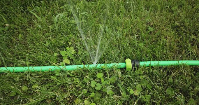 Hole in watering hose. Damaged watering pipe is lying on grass dolly in shot.