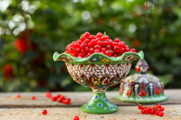 red currant bush, red currant berries, red berries of a currant	