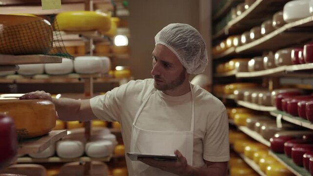 Two colleagues controlling ripening process of cheese heads