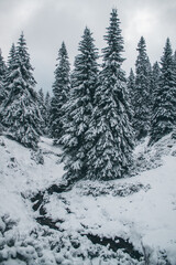 Fototapeta na wymiar Czech mountain landscape in winter